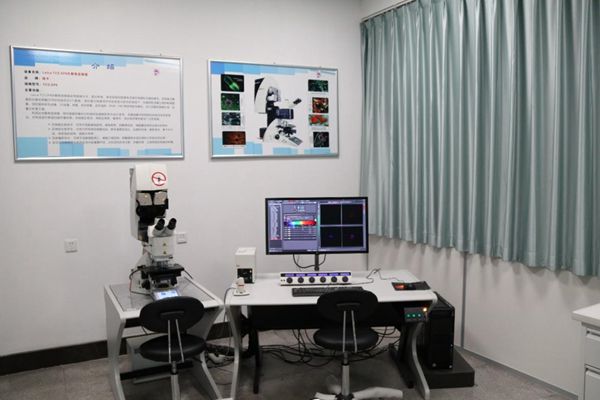 c2b2cb2d0f124135ad6e2a8a305c9a49.jpg 生物激光共聚焦_副本.jpg